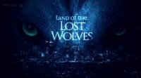 Land of the Lost Wolves AKA Expedition Wolf<span style=color:#777> 2012</span> 720p 10bit WEBRip x265-budgetbits