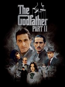The Godfather Part II<span style=color:#777> 1974</span> 2160p UHD BDRemux TrueHD 5 1 DoVi P8 by DVT