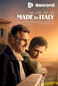 Made In Italy <span style=color:#777>(2020)</span> [Hindi Dub] 1080p WEB-DLRip Saicord