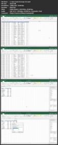 Udemy - The Ultimate Microsoft Excel Pivot Table MasterClass
