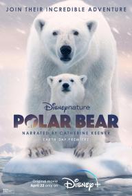 Polar Bear<span style=color:#777> 2022</span> 720p DSNP WEBRip DDP5.1 Atmos x264-playWEB
