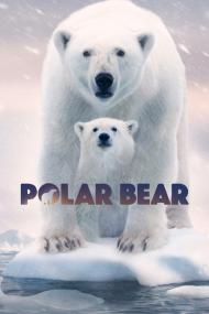 Polar Bear <span style=color:#777>(2022)</span> [1080p] [WEBRip] [5.1] <span style=color:#fc9c6d>[YTS]</span>