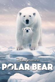 Polar Bear<span style=color:#777> 2022</span> 720p WEBRip 800MB x264<span style=color:#fc9c6d>-GalaxyRG[TGx]</span>