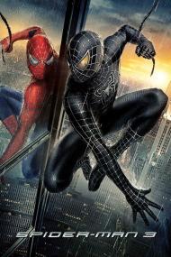 【更多高清电影访问 】蜘蛛侠3[国英多音轨+简繁英字幕] Spider-Man 3<span style=color:#777> 2007</span> BluRay 2160p x265 10bit HDR 3Audio-MiniHD