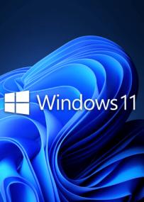 Windows 11 Pro 21H2 Build 22000.556 (No TPM Required) Multilingual Pre-Activated