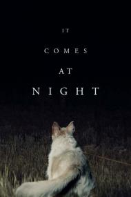 It Comes at Night<span style=color:#777> 2017</span> 720p WEBRip 800MB x264<span style=color:#fc9c6d>-GalaxyRG[TGx]</span>