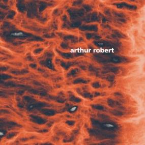 Arthur Robert - Metamorphosis Pt  2 <span style=color:#777>(2022)</span> Mp3 320kbps [PMEDIA] ⭐️