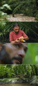 Primal Survivor Escape The Amazon S06E05 WEBRip x264<span style=color:#fc9c6d>-XEN0N</span>