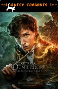 Fantastic Beasts The Secrets of Dumbledore <span style=color:#777>(2022)</span> Line Latino YG