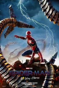 Spider-Man: No Way Home <span style=color:#777>(2021)</span> 1080p[Dual Audio][ENG(5 1)-HINDI(5 1)]~~