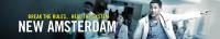 New Amsterdam<span style=color:#777> 2018</span> S04E21 Castles Made of Sand 720p AMZN WEBRip DDP5.1 x264<span style=color:#fc9c6d>-NTb[TGx]</span>