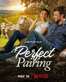 A.Perfect.Pairing.2022.720p.NF.WEBRip.AAC2.0.X.264<span style=color:#fc9c6d>-EVO</span>