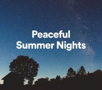 Peaceful Summer Nights Mp3_320   kbps_ Playlist   Beats⭐