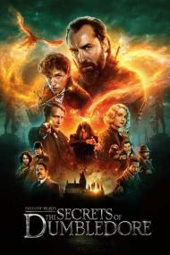 Fantastic Beasts The Secrets of Dumbledore<span style=color:#777> 2022</span> 720p BluRay 900MB x264<span style=color:#fc9c6d>-GalaxyRG[TGx]</span>