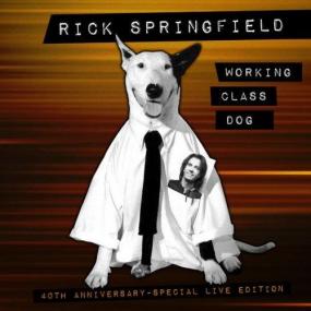 Rick Springfield - Working Class Dog (40th Anniversary Special Edition Live Version) <span style=color:#777>(2022)</span> Mp3 320kbps [PMEDIA] ⭐️