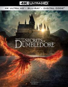 Fantastic Beasts The Secrets of Dumbledore<span style=color:#777> 2022</span> BDREMUX 2160p HDR DVP8<span style=color:#fc9c6d> seleZen</span>
