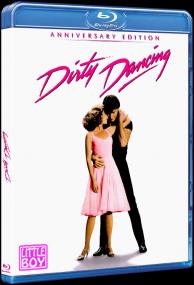 Dirty Dancing <span style=color:#777>(1987)</span> [Mux by Little-Boy]