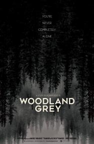 Woodland Grey<span style=color:#777> 2022</span> HDRip XviD AC3<span style=color:#fc9c6d>-EVO</span>