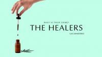 Healers <span style=color:#777>(2022)</span> SPANISH 720p GAIA x264
