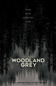 Woodland Grey<span style=color:#777> 2022</span> HDRip XviD AC3<span style=color:#fc9c6d>-EVO</span>