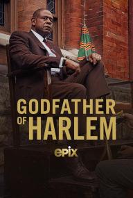 【高清剧集网 】哈林教父 第二季[全10集][简繁英字幕] Godfather of Harlem S02<span style=color:#777> 2021</span> DSNP WEB-DL 1080p H264 DDP-XiaoTV