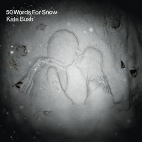 Kate Bush - 50 Words for Snow (2011 Art pop Art rock) [Flac 24-44]