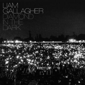 Liam Gallagher - Diamond In The Dark <span style=color:#777>(2022)</span> [24 Bit Hi-Res] FLAC [PMEDIA] ⭐️