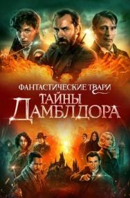 Fantastic Beasts The Secrets of Dumbledore<span style=color:#777> 2022</span> rus DUB MVO HDRip