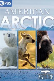 Nature American Arctic <span style=color:#777>(2022)</span> [720p] [WEBRip] <span style=color:#fc9c6d>[YTS]</span>