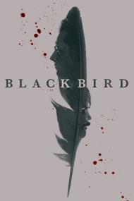 Black Bird <span style=color:#777>(2022)</span> Mini-Series