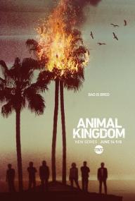 Animal Kingdom US S01 1080p BluRay REMUX AVC DTS-HD MA 5.1<span style=color:#fc9c6d>-NOGRP[rartv]</span>