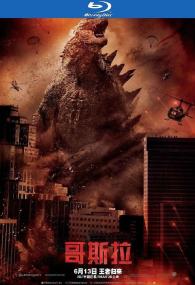 Godzilla<span style=color:#777> 2014</span> BluRay 1080p x264