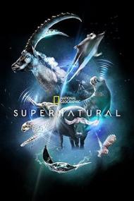Super Natural S01E01-06 DLMux 1080p E-AC3-AC3 ITA ENG SUBS