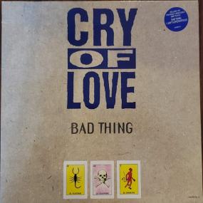 Cry Of Love - Bad Thing (12 Inch UK) PBTHAL (1993 Rock) [Flac 24-96 LP]