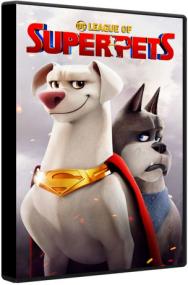 DC League of Super-Pets<span style=color:#777> 2022</span> BluRay 1080p DTS AC3 x264-MgB