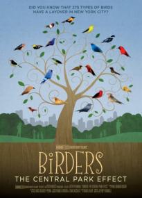 Birders - The Central Park Effect <span style=color:#777>(2012)</span> 720p 10bit WEBRip x265-budgetbits