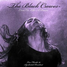 The Black Crowes - Come On Like A dream (Live<span style=color:#777> 1993</span>) <span style=color:#777>(2022)</span> Mp3 320kbps [PMEDIA] ⭐️