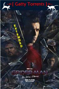 Spider-Man: No Way Home <span style=color:#777> 2021</span> EXTENDED YG