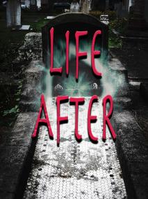 Life After <span style=color:#777>(2021)</span> 1080p WEB-DL x264 An0mal1