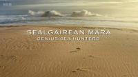 BBC Sealgairean Mara Genius Sea Hunters 1080p x265 AAC