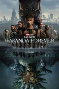 Black Panther Wakanda Forever<span style=color:#777> 2022</span> 720p CAMRip English<span style=color:#fc9c6d> 1XBET</span>