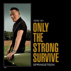 Bruce Springsteen - Only the Strong Survive <span style=color:#777>(2022)</span> [24Bit-96kHz] FLAC [PMEDIA] ⭐️
