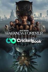 Black Panther Wakanda Forever<span style=color:#777> 2022</span> Hindi 480p PDVDRip x264 AAC CineVood
