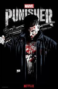 Marvel's The Punisher S01 1080p NF WEB-DL 6CH MkvCage