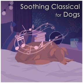 Various Artists - Soothing Classical for Dogs <span style=color:#777>(2022)</span> Mp3 320kbps [PMEDIA] ⭐️
