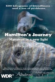 Hamiltons Journey Manatees In A New Light <span style=color:#777>(2014)</span> [720p] [WEBRip] <span style=color:#fc9c6d>[YTS]</span>