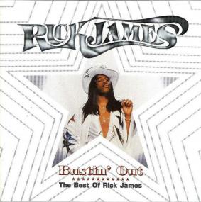 Rick James - Bustin' Out The Best Of Rick James <span style=color:#777>(1994)</span> [FLAC] vtwin88cube