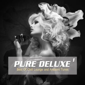 VA - Pure Deluxe, Vol  1-4 [Best of Chill Lounge and Ambient Tunes] <span style=color:#777>(2014)</span> MP3