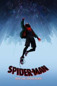 Spider-Man Into the Spider-Verse<span style=color:#777> 2018</span> 2160p WEBRip 3500MB DDP5.1 x264<span style=color:#fc9c6d>-GalaxyRG[TGx]</span>