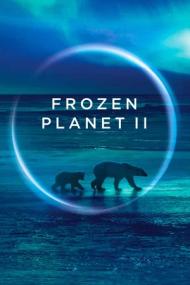 Frozen Planet II S01 1080i BluRay REMUX AVC TrueHD 7.1 SHD13
